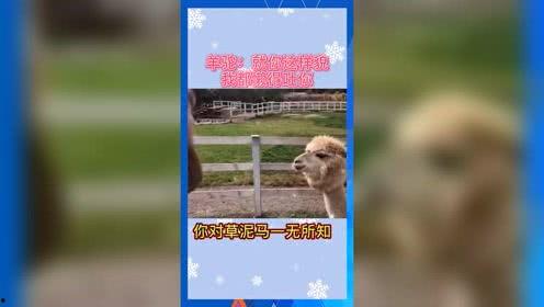 2022 娱乐吃瓜 第2张 2022 娱乐吃瓜 第2张