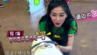 娱乐吃瓜酱笑声在线观看,欢乐无限 第3张 娱乐吃瓜酱笑声在线观看,欢乐无限 第3张